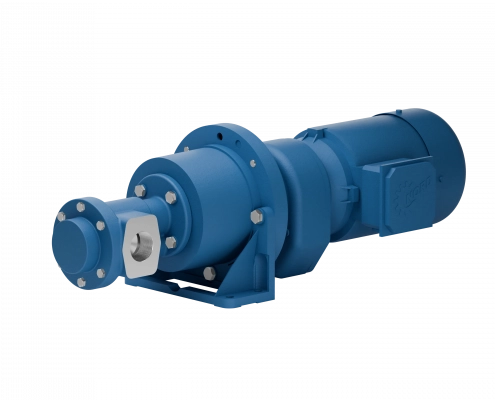 Gear pumps with spur gear motors